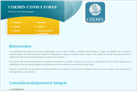 coemin consultores