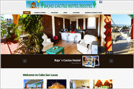 bajas cactus hostel